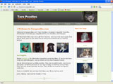 thumbnail of project